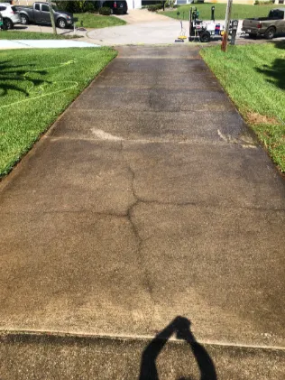 before image of professional driveway cleaning